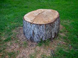Best Emergency Tree Removal  in Hawaiian Gardens, CA