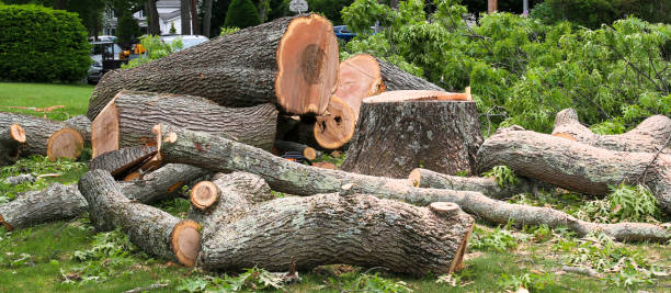 Best Aeration Services  in Hawaiian Gardens, CA